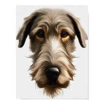 Pintor Retrato de Wolfhound Irlandês Isolado em