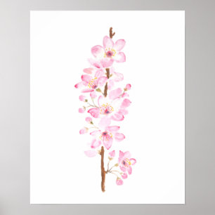Poster pintura a aquarela cor-de-rosa-flor-rosa sakura