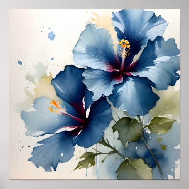 Poster Pintura a cores bonito azul de hibisco  (Frente)
