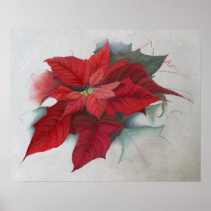 Poster Pintura a óleo do Natal da poinsétia