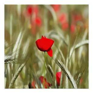 Pôster Pintura Acrínica de Hot Poppy