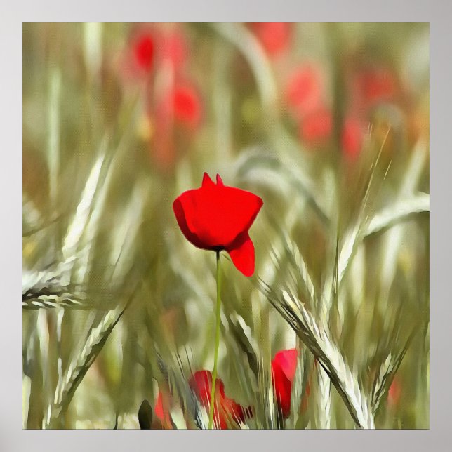 Pôster Pintura Acrínica de Hot Poppy (Frente)
