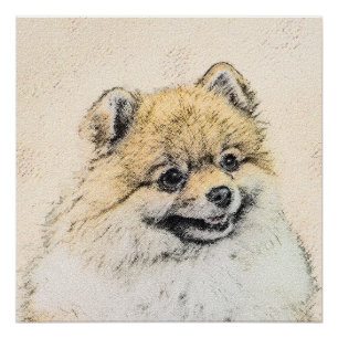 Pôster Pintura (alaranjada) de Pomeranian - arte original