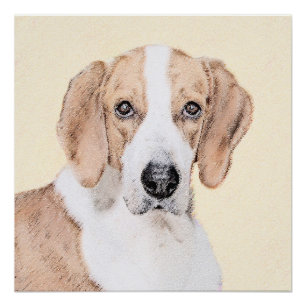 Pôster Pintura Americana de Foxhound - Arte Cachorra Orig
