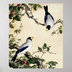 Poster Pintura Artística de Aves Antigas em Galho de Cere