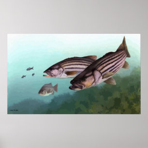 Poster Pintura assinada do baixo listrado