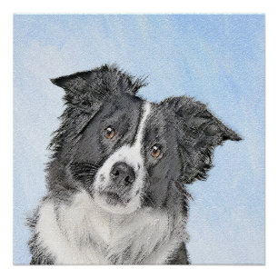 Pôster Pintura Border Collie - Arte Original de Cachorro