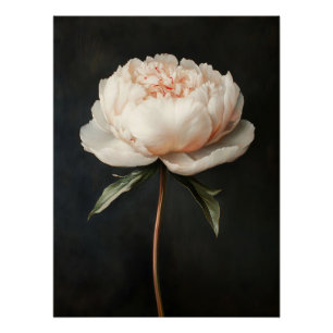 Pôster Pintura Botânica de Peony Rosa-Rosa-Blush