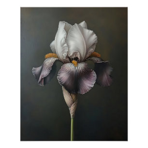 Pôster Pintura Botânica Iris Púrpura e Branca