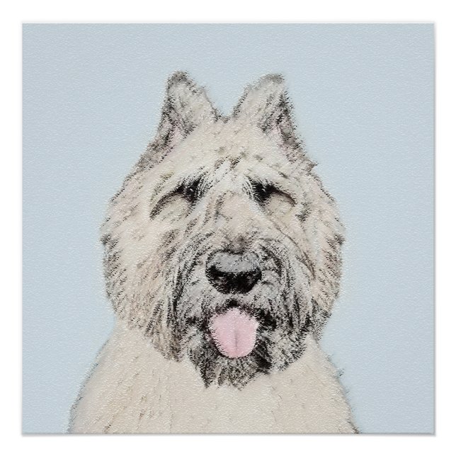 Pôster Pintura Bouvier des Flandres - Arte Cachorra Origi (Frente)