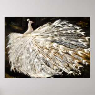 Pôster Pintura branca do pavão