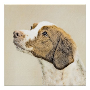 Pôster Pintura Brittany - Arte Cachorra Original
