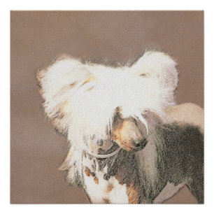 Pôster Pintura Chinesa Sem Cabelo Penteada Original Dog A