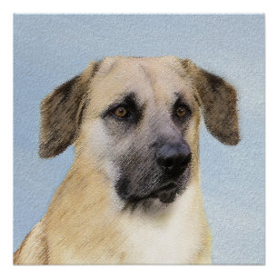 Pôster Pintura Chinook (Ouvidos Soltos) - Arte Cachorro O