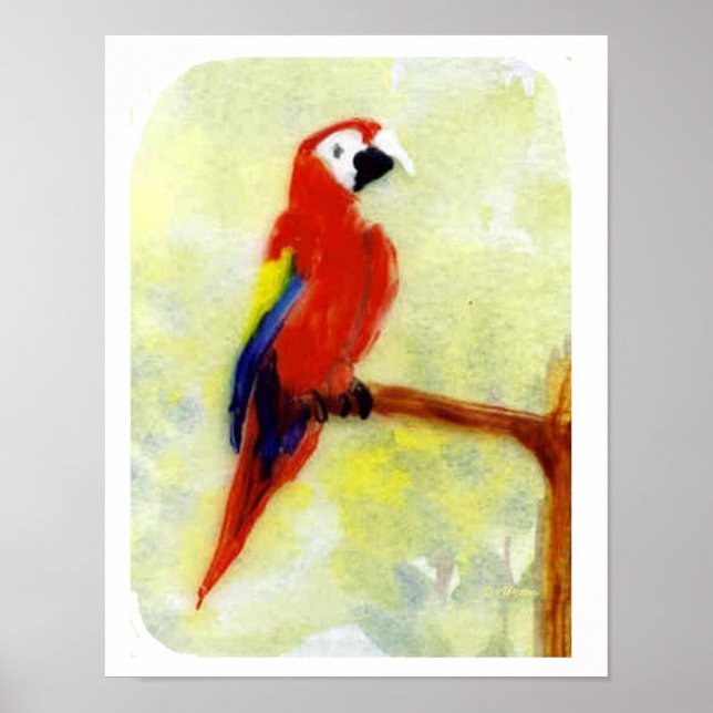 Poster Pintura Colorida Papagaio (Frente)