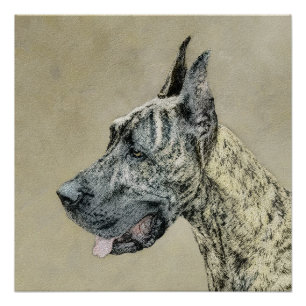 Pôster Pintura com o Grande Dane (Brindle) - Arte Canina 