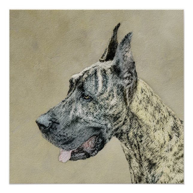 Pôster Pintura com o Grande Dane (Brindle) - Arte Canina  (Frente)