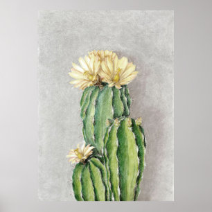 Poster Pintura da Flor Cactus