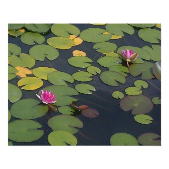 Pôster Pintura da Flor de Água (Frente)
