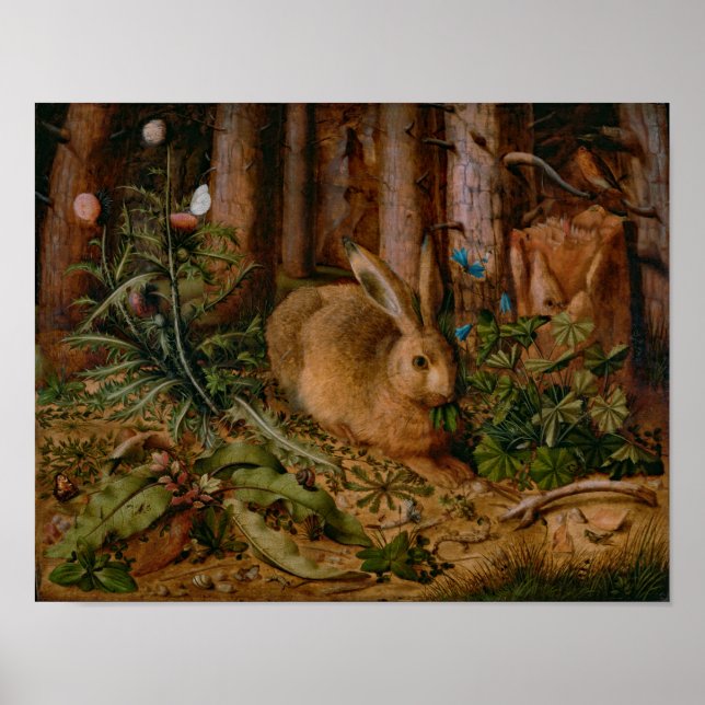 Poster Pintura da Floresta Natural Hoffmann Hare (Frente)