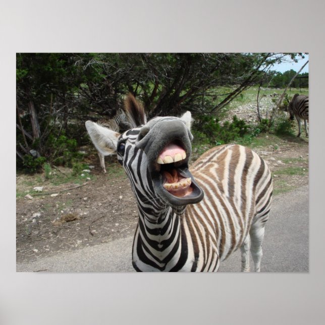 Poster pintura da zebra alegre e feliz (Frente)
