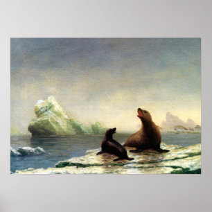 Poster Pintura de Albert Bierstadt, Seals