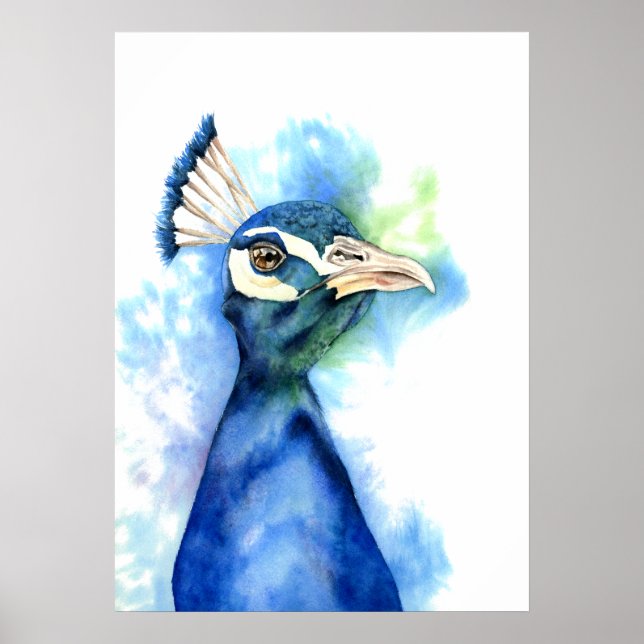 Pôster Pintura de Aquarela de Peacock Elegante (Frente)