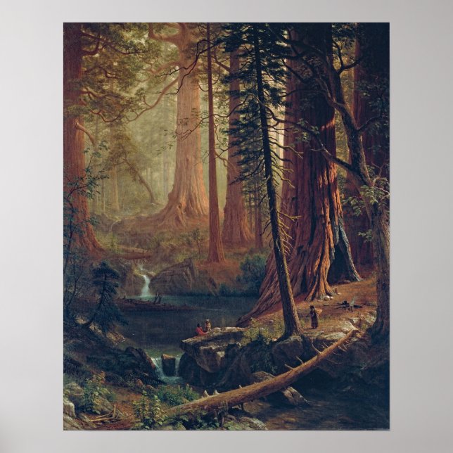 Poster Pintura de Árvores Sequoias Bierstadt (Frente)
