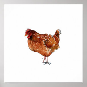 Poster Pintura de ave galinha marrom aquarela