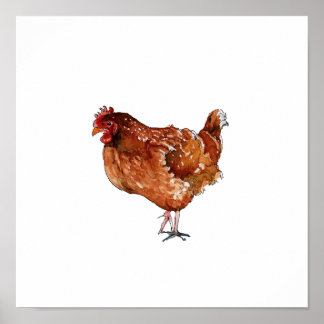 Poster Pintura de ave galinha marrom aquarela