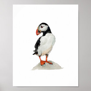 Poster Pintura de Ave Puffin em Aquarela