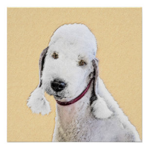 Pôster Pintura de Bedlington Terrier - Arte de Cachorro O