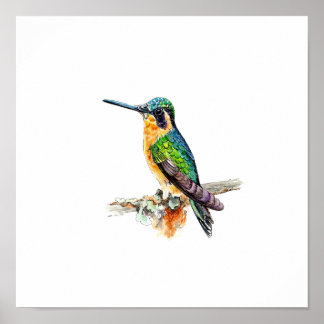 Poster Pintura de Beija-flor Verde em Aquarela