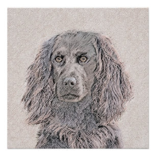 Pôster Pintura de Boykin Spaniel - Arte de Cachorro Origi