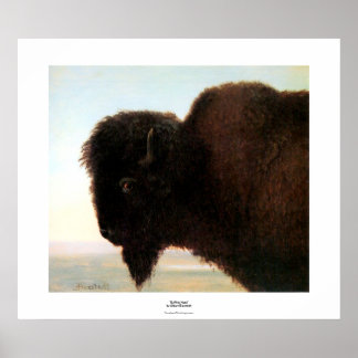 Pôster Pintura de Buffalo Head Art Albert Bierstadt