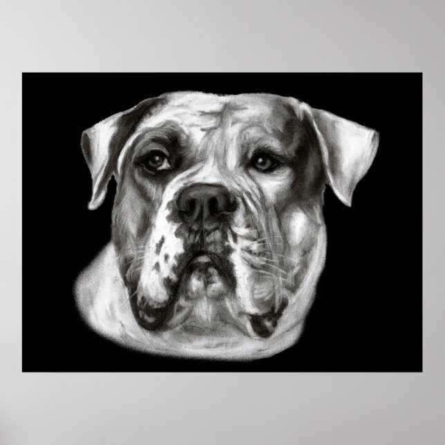 Poster Pintura de Buldogue (Frente)