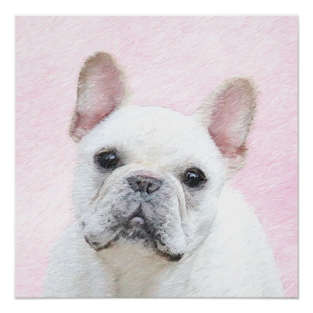 Pôster Pintura de Bulldog Francês (Creme/Branco) - Arte C (Frente)