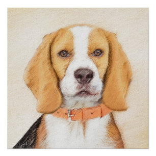 Pôster Pintura de Cachorro Beagle Hound Original Arte Ani