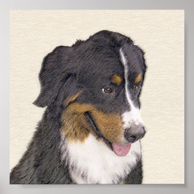 Poster Pintura de Cachorro de Montanha Bernese - Arte Ori (Frente)