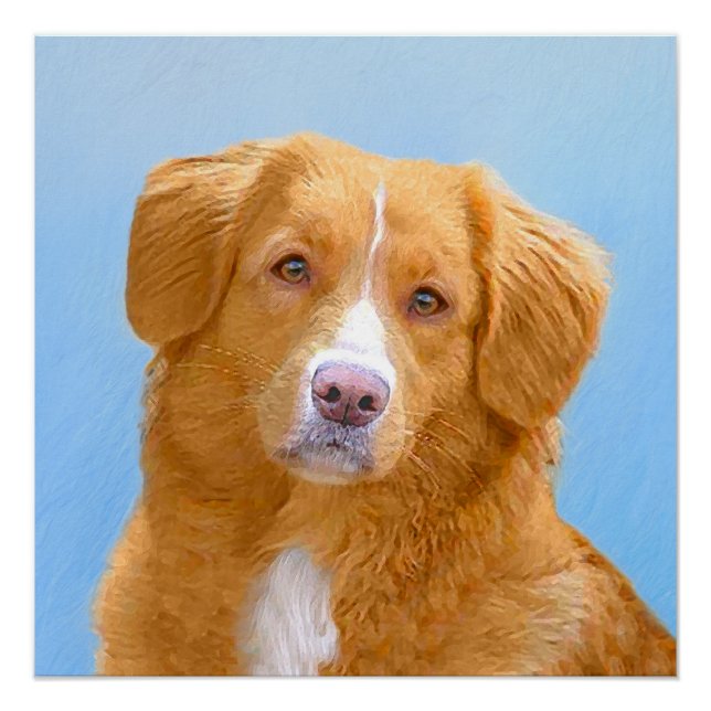 Pôster Pintura de Cachorro de Retriever com Tolerância a  (Frente)