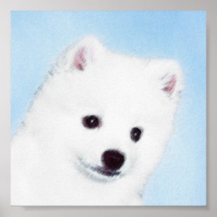 Pôster Pintura de Cachorro Eskimo Americano - Arte Origin