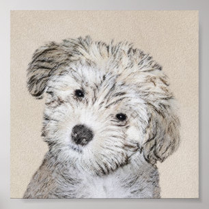 Poster Pintura De Cachorro Havanês - Arte Cachorra Origi
