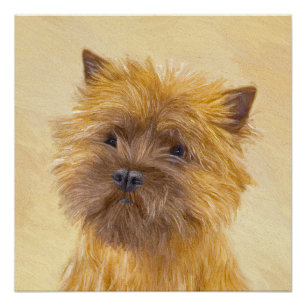 Pôster Pintura de Cairn Terrier - Arte de Cachorro Origin