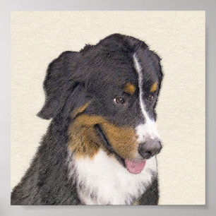 Poster Pintura De Cão Da Montanha Bernese - Arte Origina