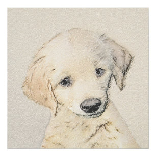 Pôster Pintura De Cãozinho Para Retriever ouro - Arte De 