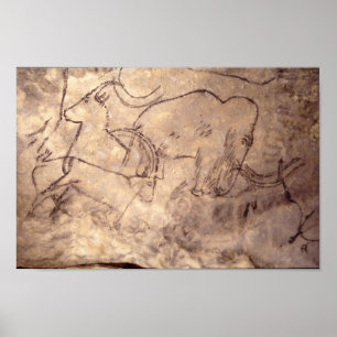 Pôster Pintura de caverna de Rouffignac