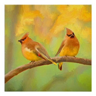 Pôster Pintura De Cedar Waxwing - Arte De Cachorro Origin