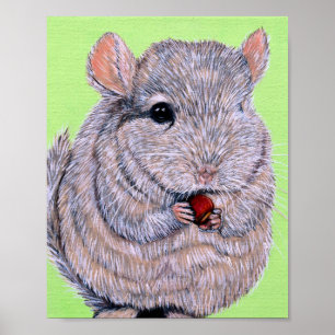 Poster Pintura de Chinchila Fofa Mordiscando
