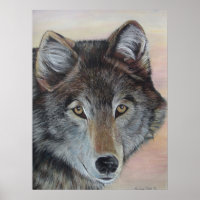 pintura de cinza