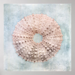 Poster Pintura de Creme Azul Costeiro em Descanso